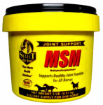 ANIMAL HEALTH INTERNATIONAL MSM Horse Supplement, 2-Lbs.