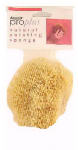 ARMALY PROPLUS Armaly ProPlus 15216-7 Textured Painting Sponge, 5 in W, Medium PAINT ARMALY PROPLUS