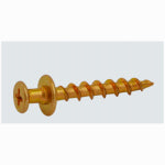 ASSA ABLOY AMERICAS RESIDENTIALI NC Bearclaw Hanger Screw & Anchor, Brass, 2-Pk.