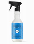LIFESTYLE BRANDS Multi-Surface Everyday Cleaner, Blueberry Scent, 16 oz. CLEANING & JANITORIAL SUPPLIES LIFESTYLE BRANDS
