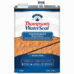 THOMPSON'S WATERSEAL Thompson's WaterSeal TH.091601-16 Stain and Sealer, Natural Cedar, Liquid, 1 gal PAINT THOMPSON'S WATERSEAL   