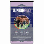 Hubbard Feeds Management Company JuniorGlo Horse Feed, 50-Lbs.