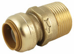SHARKBITE/CASH ACME 3/4x1MIP Connector