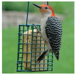 WOODLINK Suet Cage Feeder