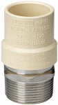 HOMEWERKS WORLDWIDE LLC CPVC Pipe Transition Adapter, 3/4 In. MIP