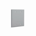 RACO INCORPORATED 2-Gang Blank Weatherproof Cover, Gray ELECTRICAL RACO INCORPORATED