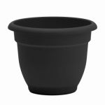 BLOEM Bloem 20-56906 Planter, 5-1/4 in H, 6-1/2 in W, Plastic, Black LAWN & GARDEN BLOEM