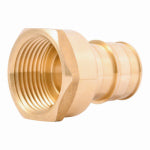 SHARKBITE/CASH ACME SharkBite PEX-A Brass 1 In. x 1 In. FNPT Adapter
