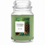 YANKEE CANDLE CO. 22OZ Balm/Ced JarCandle