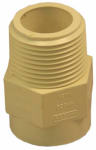 NIBCO INC CPVC Pipe Adapter, 3/4 In. MPT