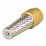 ASHLAND WATER GROUP Foot Valve, Brass, 1-In.