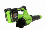 GREENWORKS TOOLS 48V (2x24V) 515 CFM Cordless Battery Leaf Blower w/ (2) 2.0Ah USB Batteries & Charger
