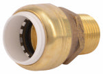 SHARKBITE/CASH ACME Push Fit Pipe Connector, 1/2 In. PVC x 1/2 In. MPT