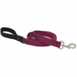 LUPINE INC Eco Dog Leash, 1-In. x 6-Ft.