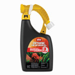 SCOTTS ORTHO ROUNDUP Ortho Orthene Fire Ant Killer Lawn & Landscape RTS 32 OZ