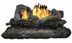 KOZY WORLD Kozy World GLD2465R Vent-Free Fireplace Log Set with Remote, 13 in L, 24 in W APPLIANCES & ELECTRONICS KOZY WORLD