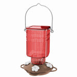 NATURES WAY BIRD PRODUCTS LLC Antique Glass Hummingbird Feeder, Crimson Carnation, 22 oz.
