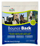 MANNA PRO CORP Bounce-Back Electrolyte Supplement For Livestock, 4-oz. HARDWARE & FARM SUPPLIES MANNA PRO CORP