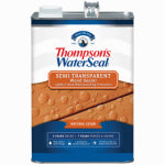THOMPSON'S WATERSEAL Thompson's WaterSeal TH.093601-16 Wood Sealer, Solid, Liquid, Natural Cedar, 1 gal PAINT THOMPSON'S WATERSEAL
