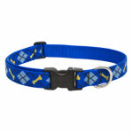LUPINE INC Dog Collar, Adjustable, Dapper Dog, 1 x 16 to 28-In.