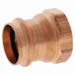 NIBCO INC 1-1/4" PRSxFIP Adapter