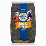 GLOBAL HARVEST FOODS LLC Black Oil Sunflower Seed Wild Bird Food, 40 Lb. Bag