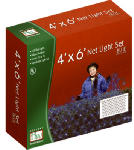 KWANG TA ELECTRIC PHILS. CORP. 150CT Blue Net Lights