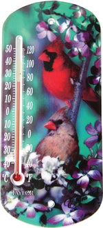 TAYLOR Taylor 5204 Thermometer, 1/2 x 4 x 8 in Dimensions, -40 to 120 deg F HOUSEWARES TAYLOR