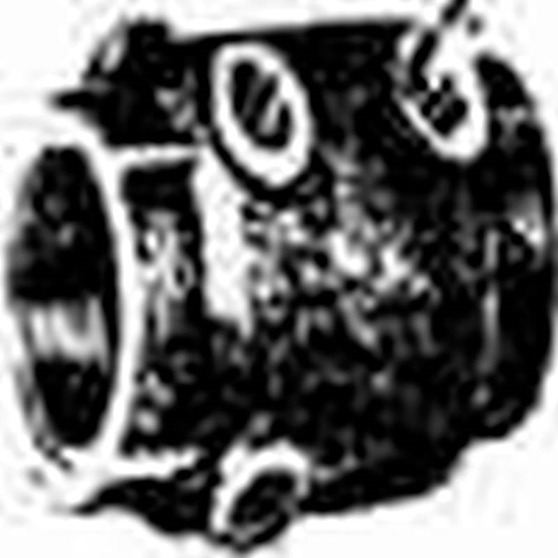 SIMMONS Simmons 606SB Check Valve, 1 in, FPT, 400 psi Pressure, Silicone Bronze Body PLUMBING, HEATING & VENTILATION SIMMONS