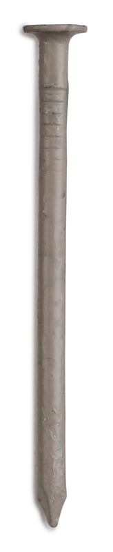 PRO-FIT ProFIT 0256078 Trim Nail, 1-1/4 in L, 304 Stainless Steel, Flat Head, Smooth Shank, Clay, 1 lb HARDWARE & FARM SUPPLIES PRO-FIT
