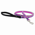 LUPINE INC Dog Leash, Reflective Pink Paws Pattern, 1/2-In. x 6-Ft. PET & WILDLIFE SUPPLIES LUPINE INC