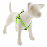 LUPINE INC Step-In Small Dog Harness, Reflective Green Diamond Pattern, 3/4 x 15 - 21-In.