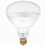 WESTINGHOUSE LIGHTING CORP Heat Lamp, Flood Beam, Dimmable, R40, Clear, 125-Watts ELECTRICAL WESTINGHOUSE LIGHTING CORP   