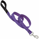 LUPINE INC Dog Leash, Jelly Roll Pattern, 1 In. x 6 In. PET & WILDLIFE SUPPLIES LUPINE INC