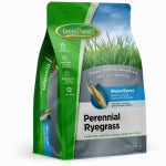 BARENBRUG USA Premium Coated Perennial Ryegrass Seed, 7 Lbs., Covers 1,750 Sq. Ft.