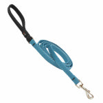 LUPINE INC Eco Dog Leash, Tropical Sea Pattern, 1/2-In. x 6-Ft. PET & WILDLIFE SUPPLIES LUPINE INC