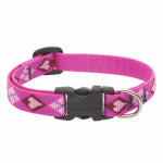 LUPINE INC Dog Collar, Adjustable, Puppy Love, 1/2 x 10 to 16-In. PET & WILDLIFE SUPPLIES LUPINE INC