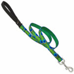 LUPINE INC Dog Leash, Tail Feather Pattern, 3/4-In. x 6-Ft. PET & WILDLIFE SUPPLIES LUPINE INC