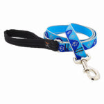 LUPINE INC Dog Leash, Reflective Blue Paws Pattern, 1-In. x 6-Ft.