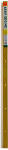 THERMWELL 1-1/8 x 72-Inch Gold Stair Edge HARDWARE & FARM SUPPLIES THERMWELL