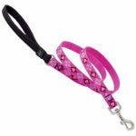 LUPINE INC Dog Leash, Pupply Love Pattern, 3/4-In. x 6-Ft. PET & WILDLIFE SUPPLIES LUPINE INC