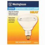 WESTINGHOUSE LIGHTING CORP Heat Lamp, Flood Beam, Dimmable, R40, Clear, 250-Watts ELECTRICAL WESTINGHOUSE LIGHTING CORP