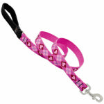 LUPINE INC Dog Leash, Puppy Love Pattern, 1-In. x 6-Ft. PET & WILDLIFE SUPPLIES LUPINE INC