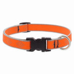 LUPINE INC Adjustable Small Dog Collar, Reflective Orange Diamond Pattern, 3/4 x 9 - 14-In. PET & WILDLIFE SUPPLIES LUPINE INC