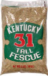 BARENBRUG USA Tall Fescue Grass Seed, Kentucky-31,  5-Lbs., Covers 625 Sq. Ft. LAWN & GARDEN BARENBRUG USA   