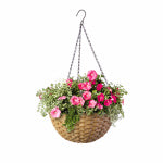 PANACEA PRODUCTS Wicker Hanging Basket, Resin, 14-In. LAWN & GARDEN PANACEA PRODUCTS