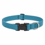 LUPINE INC Eco Dog Collar, Adjustable, Tropical Sea, 1 x 16 to 28-In. PET & WILDLIFE SUPPLIES LUPINE INC