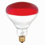 WESTINGHOUSE LIGHTING CORP 6PK 250W R40 RED Lamp ELECTRICAL WESTINGHOUSE LIGHTING CORP   