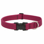 LUPINE INC Eco Dog Collar, Adjustable, Berry, 1 x 12 to 20-In. PET & WILDLIFE SUPPLIES LUPINE INC