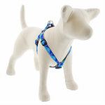 LUPINE INC Step-In Small Dog Harness, Reflective Blue Paws Pattern, 3/4 x 15 - 21-In.